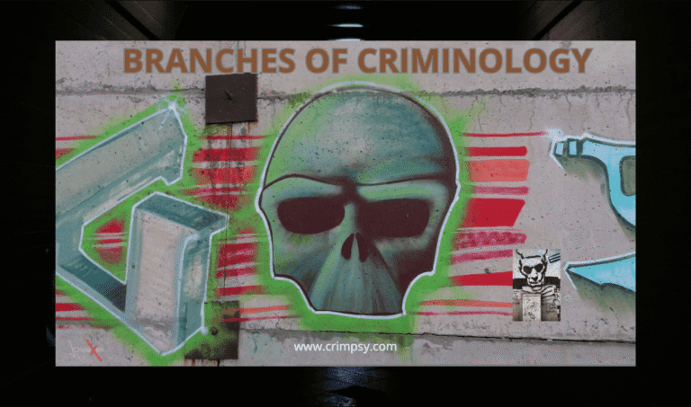 Diagram illustrating the main branches of criminology including criminal sociology, criminal psychology, and criminal biology