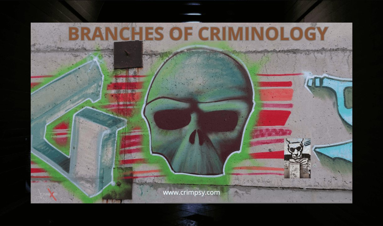 Diagram illustrating the main branches of criminology including criminal sociology, criminal psychology, and criminal biology