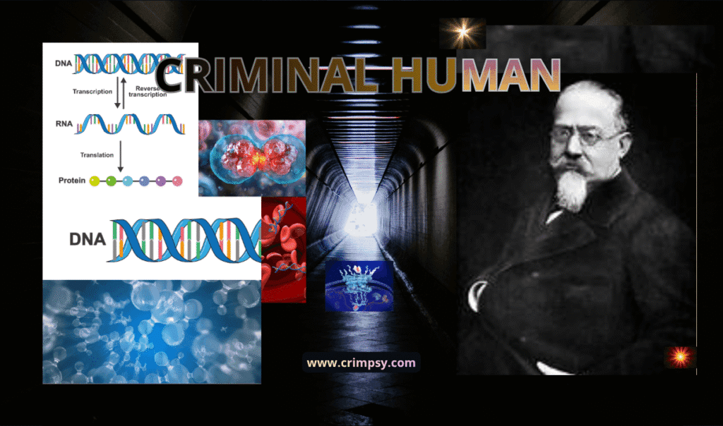 Cesare Lombroso is the founder of positive criminology, which is considered a branch of criminology.