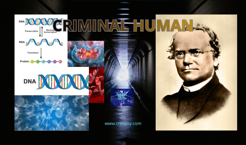 Conceptual illustration representing the biological school of criminology and the relationship between biology and criminal behavior